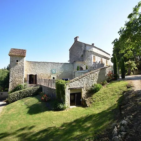 Castle 12th Century With Private Pool Close To Agen *