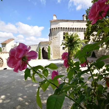 Castle 12th Century With Private Pool Close To Agen *