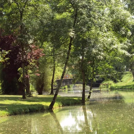 Castle 12th Century With Private Pool Close To Agen Casa de Férias *